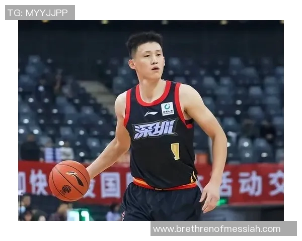 深圳篮球队实力引发热议球迷观点交锋与未来展望