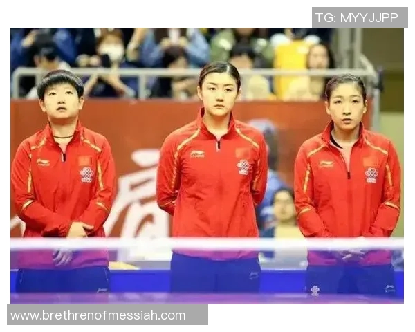 南京乒乓球队实力对比深度解析与未来发展趋势探讨 南京乒乓球队实力对比深度解析与未来发展趋势探讨