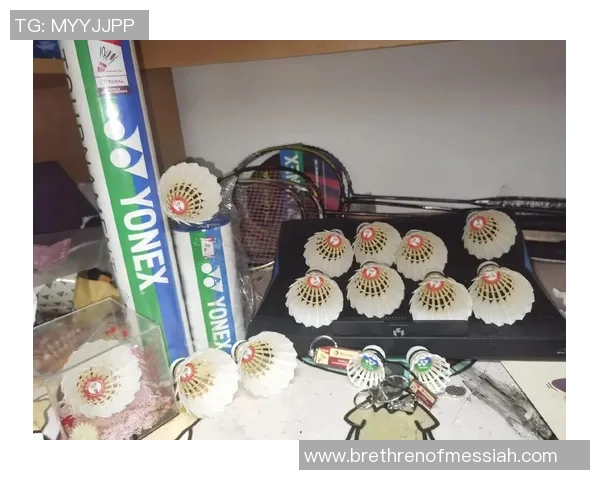 南京羽毛球队在钻石联赛中的拼搏历程与荣耀时刻回顾 南京羽毛球队在钻石联赛中的拼搏历程与荣耀时刻回顾