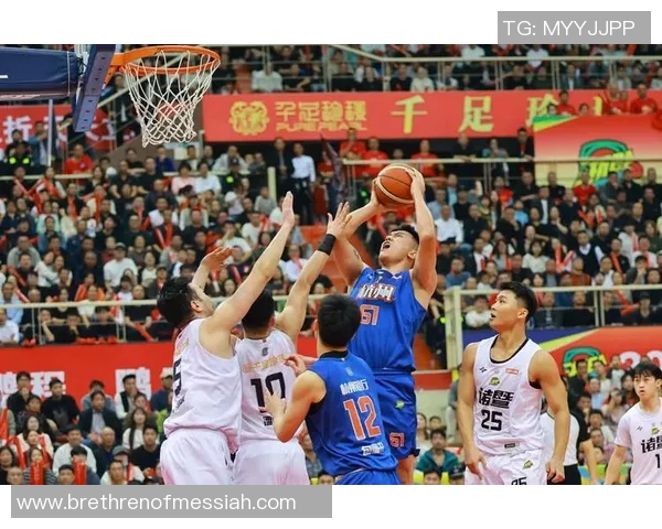 杭州篮球队在欧锦赛中的精彩表现与状态分析 杭州篮球队在欧锦赛中的精彩表现与状态分析