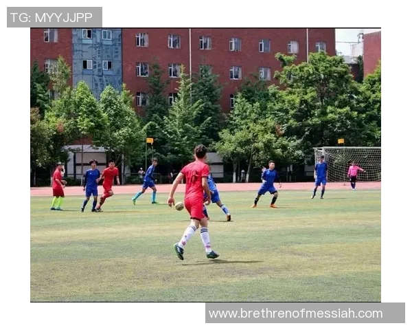 上海篮球队边路渗透战术解析与实战应用探讨 上海篮球队边路渗透战术解析与实战应用探讨