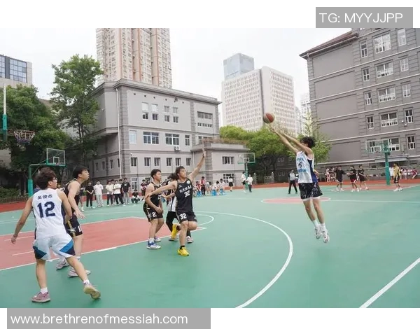 南京篮球队的实力分析与未来发展展望探讨