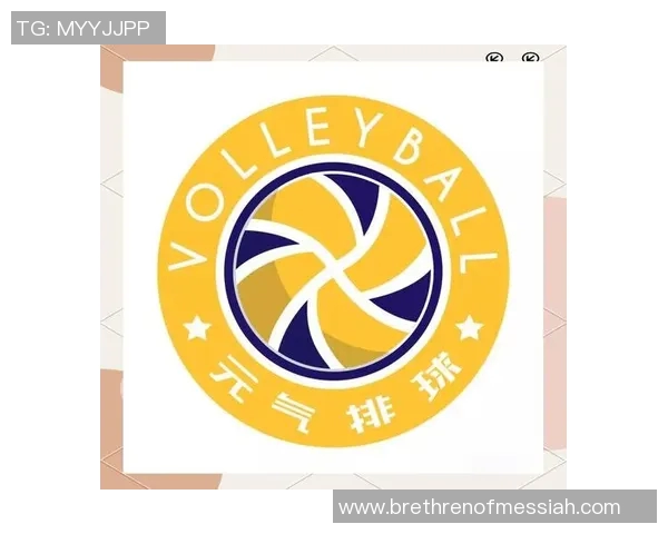 排球盛宴：深入解析西安排球队的快速战术与精彩瞬间