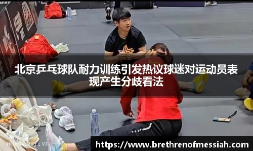 北京乒乓球队耐力训练引发热议球迷对运动员表现产生分歧看法