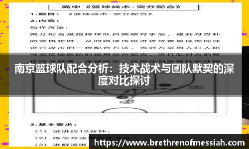 AMG新葡萄8883