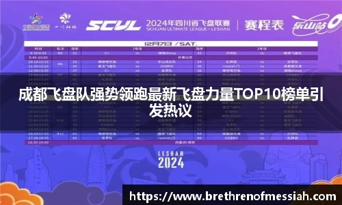 成都飞盘队强势领跑最新飞盘力量TOP10榜单引发热议