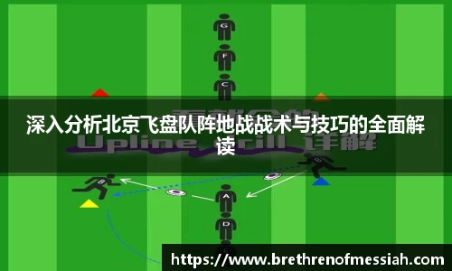 AMG新葡萄8883