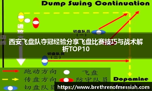 AMG新葡萄8883