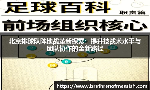 北京排球队阵地战革新探索：提升技战术水平与团队协作的全新路径