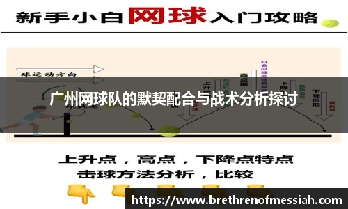 AMG新葡萄8883