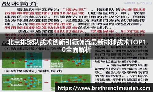 北京排球队战术创新引领潮流最新排球战术TOP10全面解析