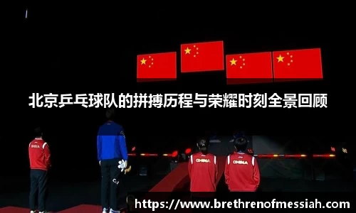 北京乒乓球队的拼搏历程与荣耀时刻全景回顾