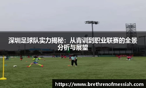 深圳足球队实力揭秘：从青训到职业联赛的全景分析与展望