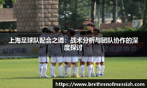 上海足球队配合之道：战术分析与团队协作的深度探讨